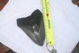 2008 Big Tooth